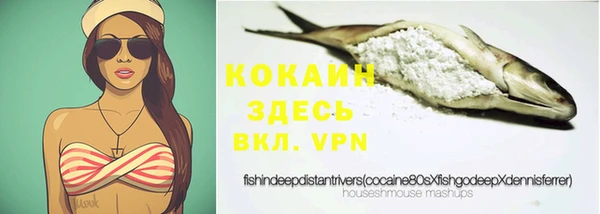 ешки Белокуриха