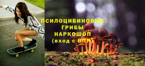 синтетический гашиш Богородск