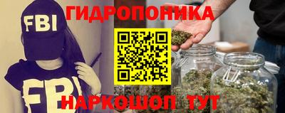 шишки Жуковский