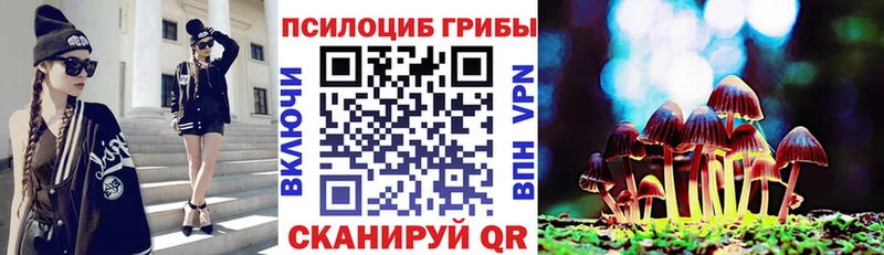 Галлюциногенные грибы Psilocybine cubensis  darknet клад  Пыть-Ях 