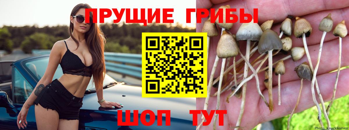 Галлюциногенные грибы мицелий Пыть-Ях
